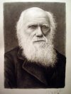 charles_darwin.jpg